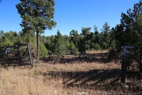 3320 Bear Hts #-, Heber, AZ 85928 photo 8
