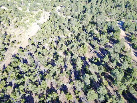 3320 Bear Hts #-, Heber, AZ 85928 photo 10