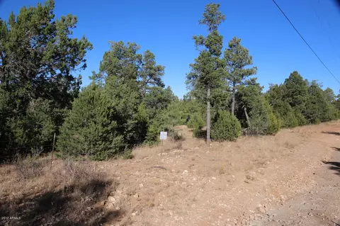 3320 Bear Hts #-, Heber, AZ 85928 photo 6