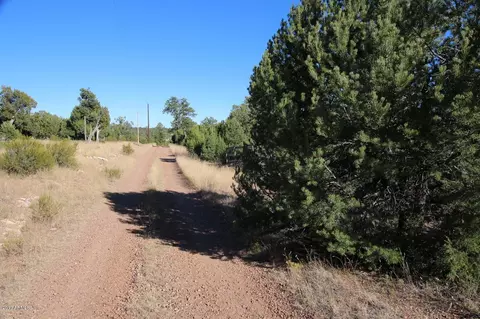 3320 Bear Hts #-, Heber, AZ 85928 photo 9