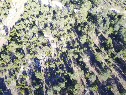 3320 Bear Hts #-, Heber, AZ 85928 photo 12