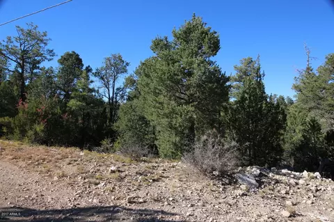 3320 Bear Hts #-, Heber, AZ 85928 photo 2