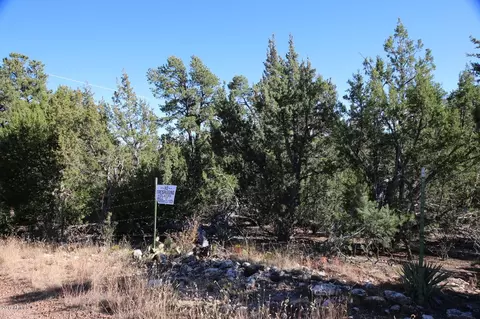 3320 Bear Hts #-, Heber, AZ 85928 photo 7