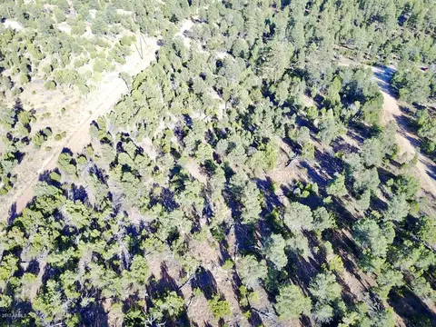 3320 Bear Hts #-, Heber, AZ 85928 photo 11