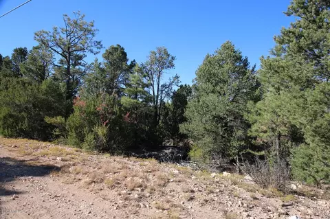 3320 Bear Hts #-, Heber, AZ 85928 photo 1