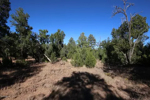 3320 Bear Hts #-, Heber, AZ 85928 photo 5