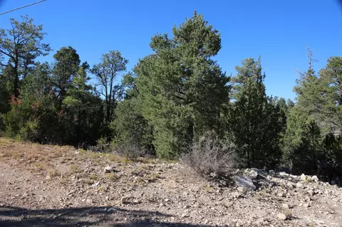 3320 Bear Hts #-, Heber, AZ 85928 photo 3