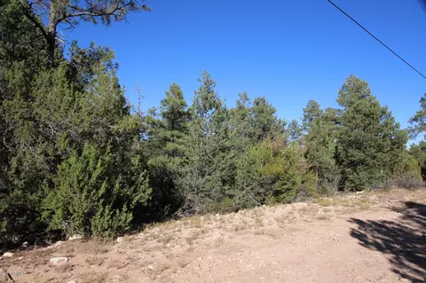 3320 Bear Hts #-, Heber, AZ 85928 photo 4