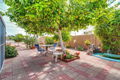 5317 E Des Moines St, Mesa, AZ 85205 photo 38