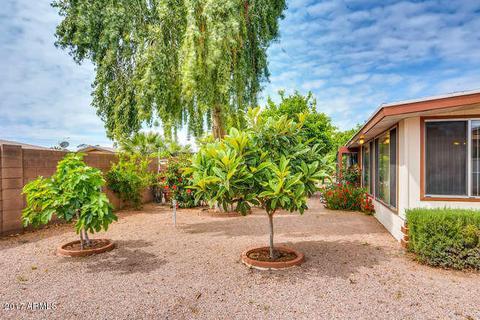 5317 E Des Moines St, Mesa, AZ 85205 photo 42