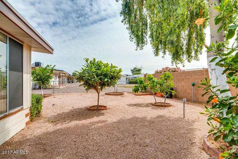 5317 E Des Moines St, Mesa, AZ 85205 photo 41