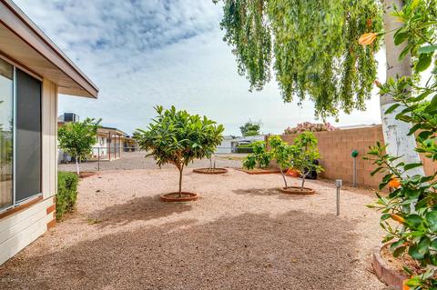 5317 E Des Moines St, Mesa, AZ 85205 photo 27
