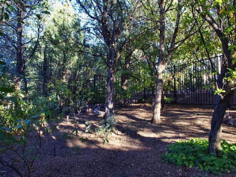108 S Young Rd, Payson, AZ 85541 photo 30