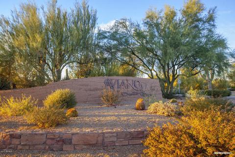 3925 E Patrick Ln, Phoenix, AZ 85050 photo 3