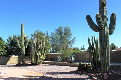 7635 Edgewood Ave, Mesa, AZ 85208 photo 5