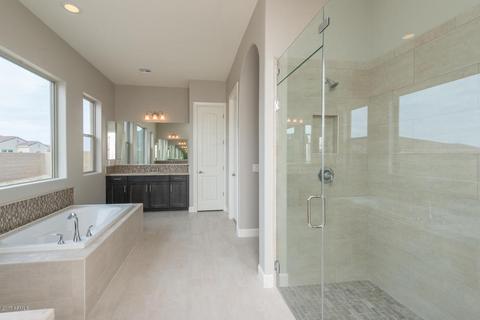 2908 E Branham Ln, Phoenix, AZ 85042 photo 18