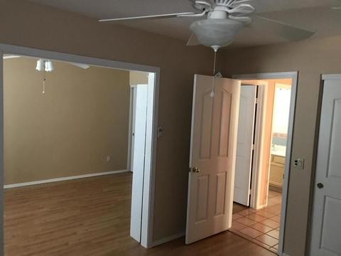 3607 E Taro Ln, Phoenix, AZ 85050 photo 11