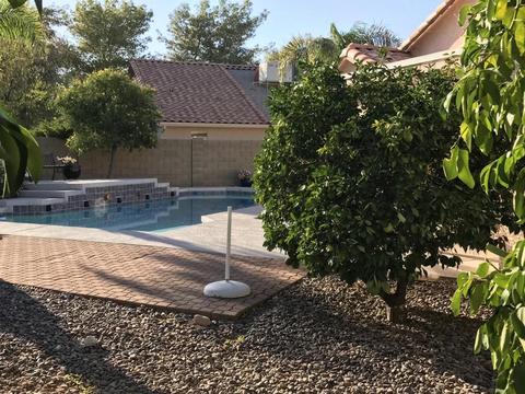 3607 E Taro Ln, Phoenix, AZ 85050 photo 16
