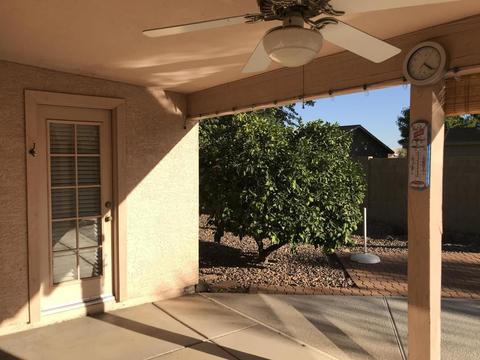3607 E Taro Ln, Phoenix, AZ 85050 photo 13