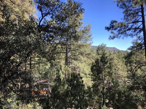 3895 N Mohawk St, Pine, AZ 85544 photo 4