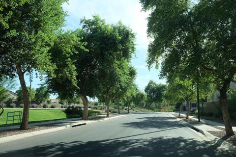 3959 E Melrose St, Gilbert, AZ 85297 photo 71
