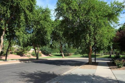 3959 E Melrose St, Gilbert, AZ 85297 photo 7