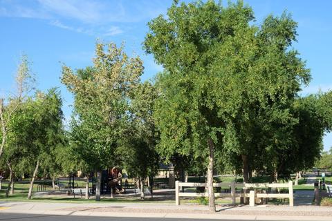 3959 E Melrose St, Gilbert, AZ 85297 photo 72