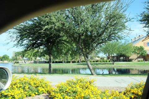 3959 E Melrose St, Gilbert, AZ 85297 photo 73