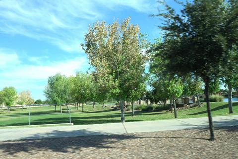 3959 E Melrose St, Gilbert, AZ 85297 photo 74
