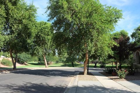3959 E Melrose St, Gilbert, AZ 85297 photo 67
