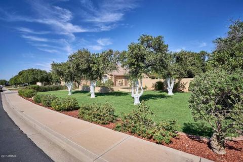 4254 E Hale St, Mesa, AZ 85205 photo 5