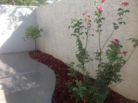 3080 E Cannon Dr, Phoenix, AZ 85028 photo 61