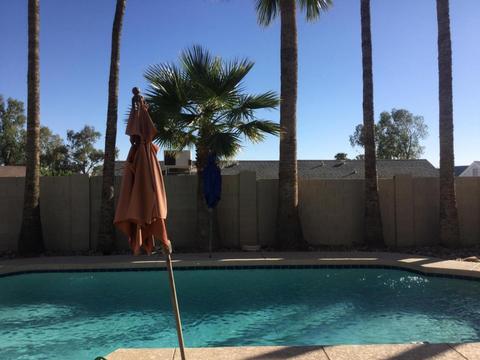 4565 E Mcneil St, Phoenix, AZ 85044 photo 39