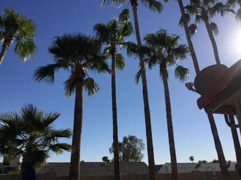 4565 E Mcneil St, Phoenix, AZ 85044 photo 41