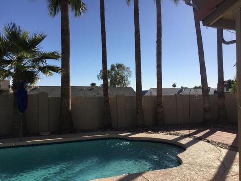 4565 E Mcneil St, Phoenix, AZ 85044 photo 40