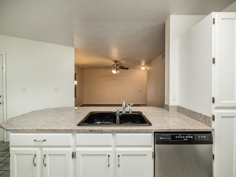 5230 E Brown Rd #163, Mesa, AZ 85205 photo 9