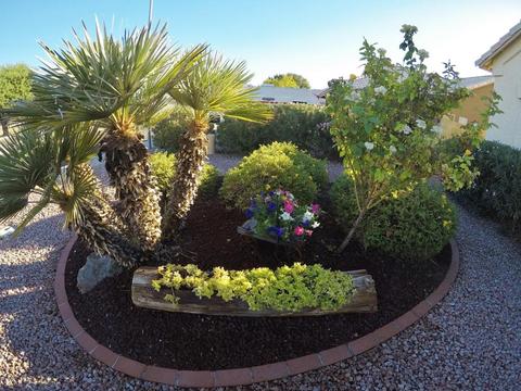 4031 E San Angelo Ave, Gilbert, AZ 85234 photo 3