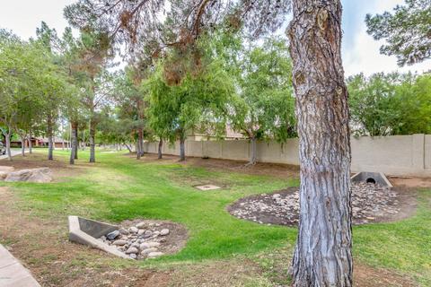 501 E Meadows Ln, Gilbert, AZ 85234 photo 51