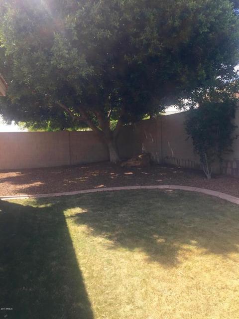 4126 E Prickly Pear Trl, Phoenix, AZ 85050 photo 24