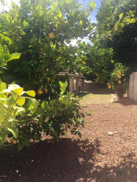 4126 E Prickly Pear Trl, Phoenix, AZ 85050 photo 27