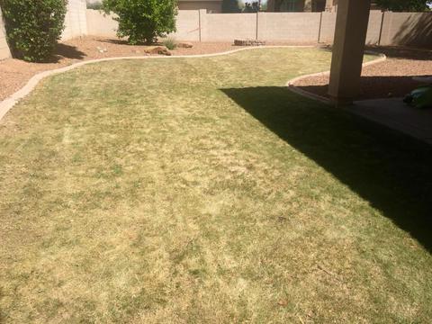 4126 E Prickly Pear Trl, Phoenix, AZ 85050 photo 25