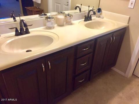 4126 E Prickly Pear Trl, Phoenix, AZ 85050 photo 19