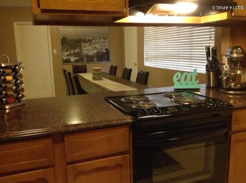 548 E Pebble Beach Dr, Tempe, AZ 85282 photo 3