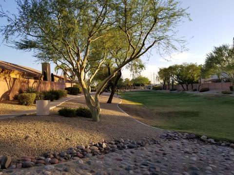 3028 E Blackhawk Dr, Phoenix, AZ 85050 photo 33