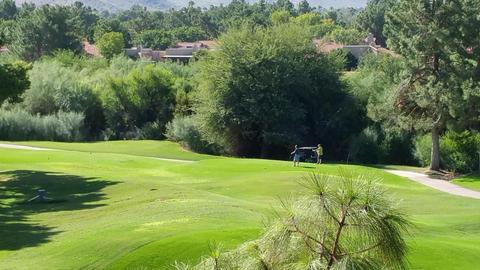 4303 E Cactus Rd #439, Phoenix, AZ 85032 photo 7