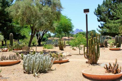 4303 E Cactus Rd #439, Phoenix, AZ 85032 photo 19