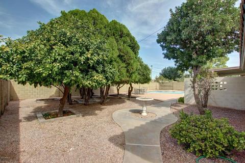 2834 E Hillery Dr, Phoenix, AZ 85032 photo 38