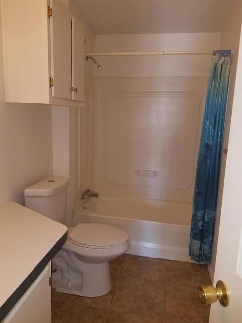 4452 N Desert View Dr, Apache Junction, AZ 85120 photo 10