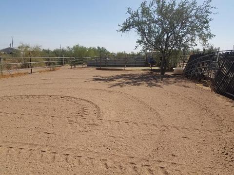 4452 N Desert View Dr, Apache Junction, AZ 85120 photo 14