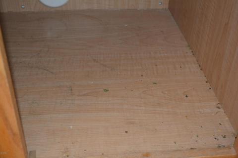 10062 E Obispo Ave, Mesa, AZ 85212 photo 10